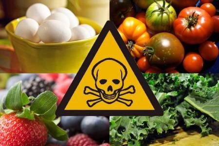 Food Toxicology